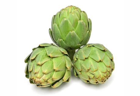 Artichoke at Gluconol